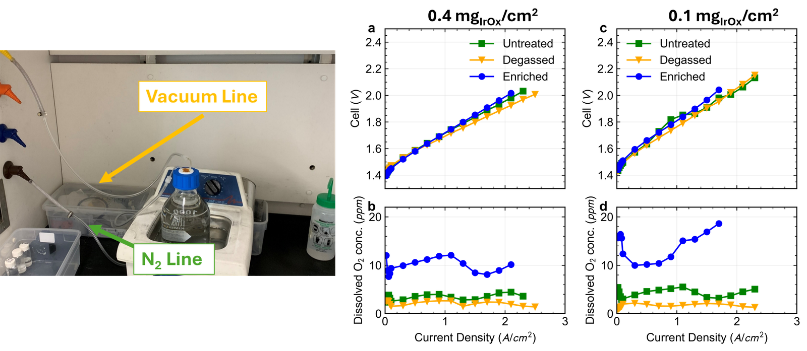Feedwater Chemistry & Dissolved Gas Effects in PEM Electrolyzers